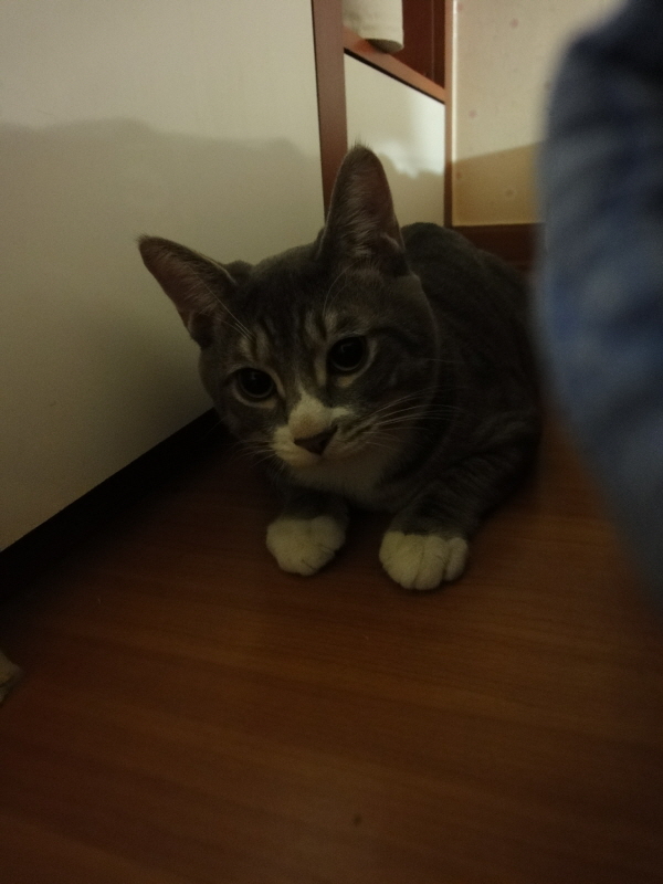 [DSC-WX1] 005.jpg